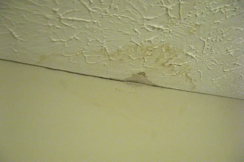 Brown water stain spreading across a textured ceiling