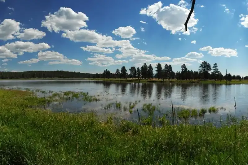 Scholz Lake in the Kaibab National Forest near Parks